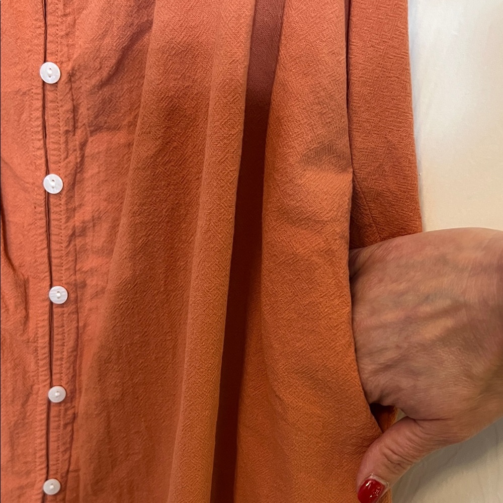 Universal Thread Rust Button-Down Mini Dress - Picture 4 of 5